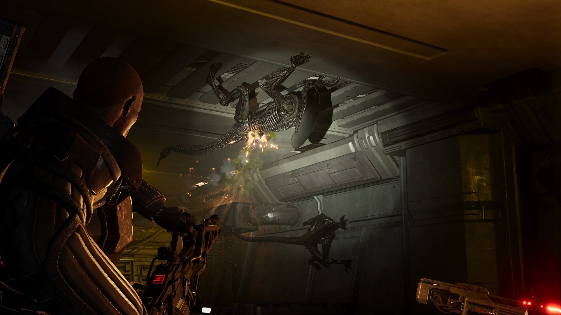 Leépítések sújtják az Aliens: Fireteam Elite 2 fejlesztőit alig egy hónappal a premier után